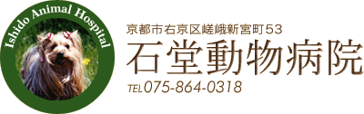 ���s�s�E���捵��V�{��53
�Γ������a�@
TEL 075-864-0318
