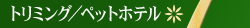 �@���c�A�[