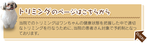 トリミングのページはこちらから