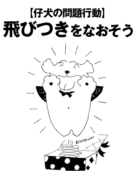 飛びつきをなおそう